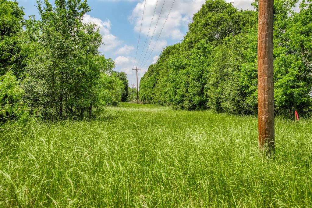 10396 County Road 276, Somerville, Texas image 7