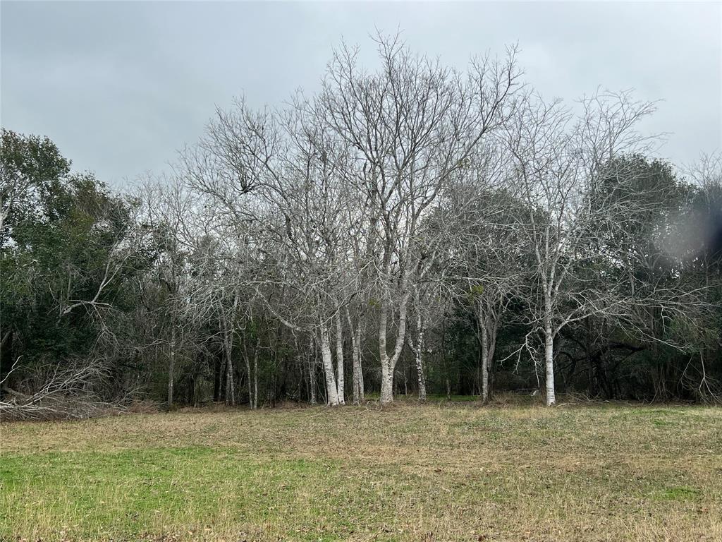 TBD Us Hwy 77 South, Yoakum, Texas image 9