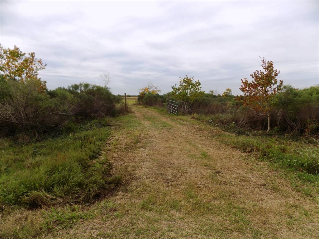 164 County Road 291, Sargent, Texas image 1