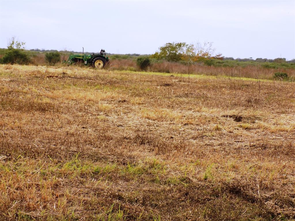 164 County Road 291, Sargent, Texas image 4