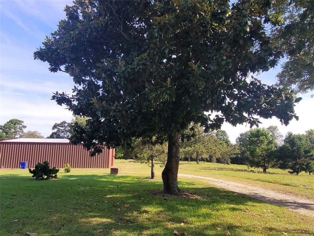 339 LILES LANE