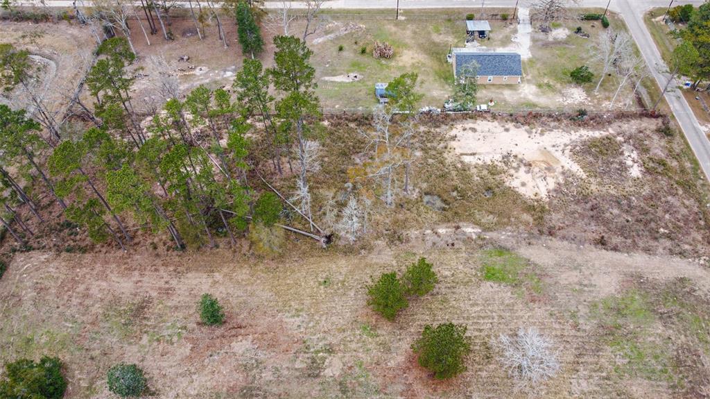 Emerald Forest Drive, New Caney, Texas image 9