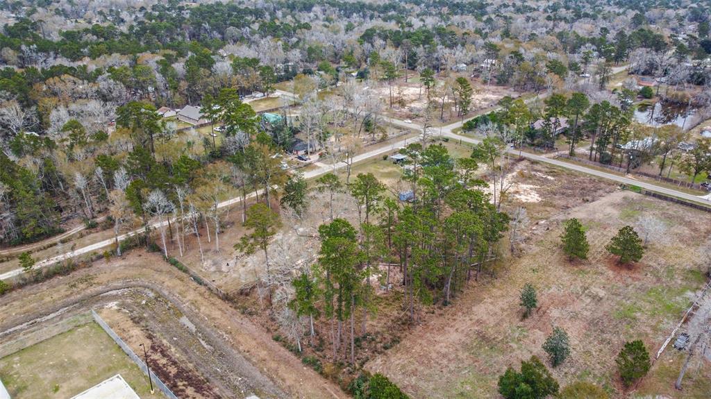 Emerald Forest Drive, New Caney, Texas image 5