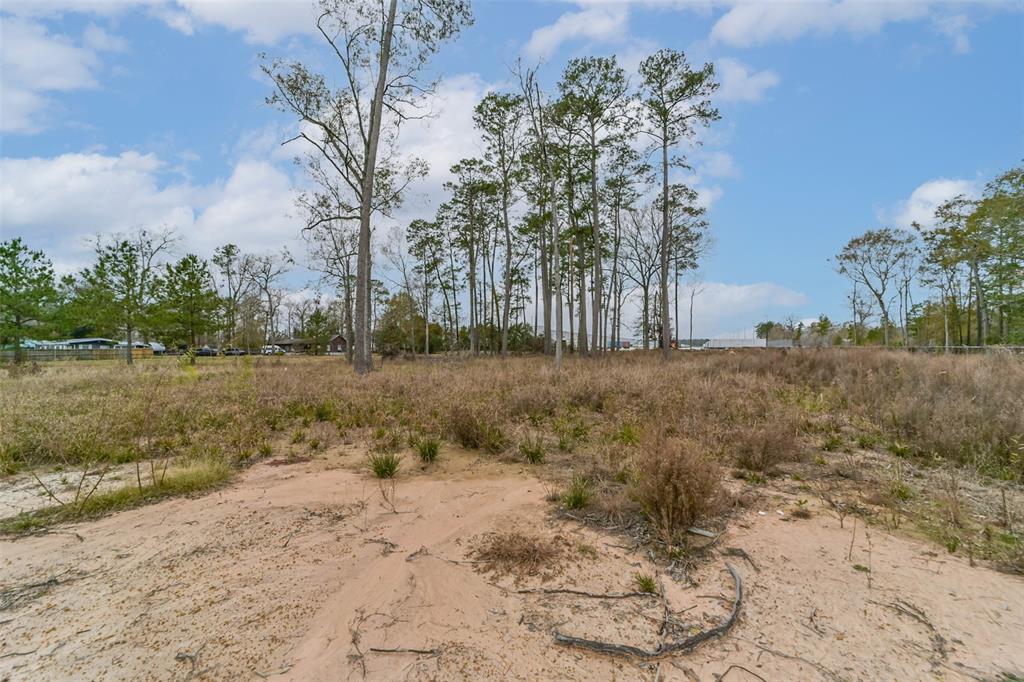 Emerald Forest Drive, New Caney, Texas image 16