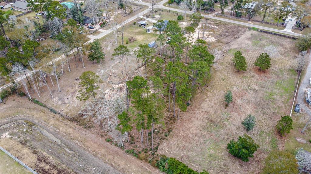 Emerald Forest Drive, New Caney, Texas image 4