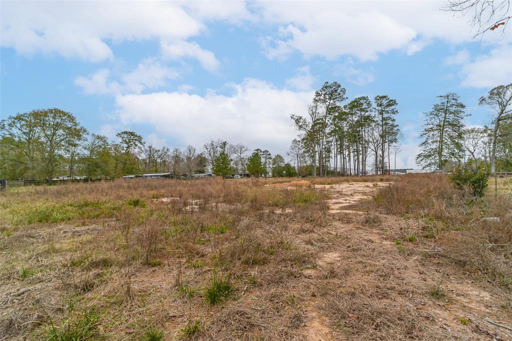 Emerald Forest Drive, New Caney, Texas image 14