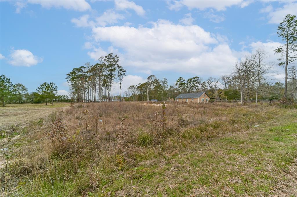 Emerald Forest Drive, New Caney, Texas image 18