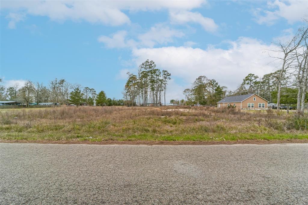 Emerald Forest Drive, New Caney, Texas image 17