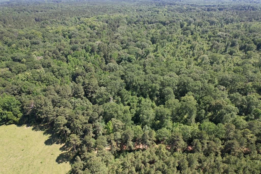 TBD-G County Road 4021, Timpson, Texas image 3