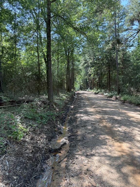TBD-G County Road 4021, Timpson, Texas image 4