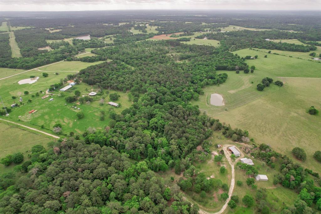 Lot 23.2 Townley Ranch Drive, Huntsville, Texas image 14