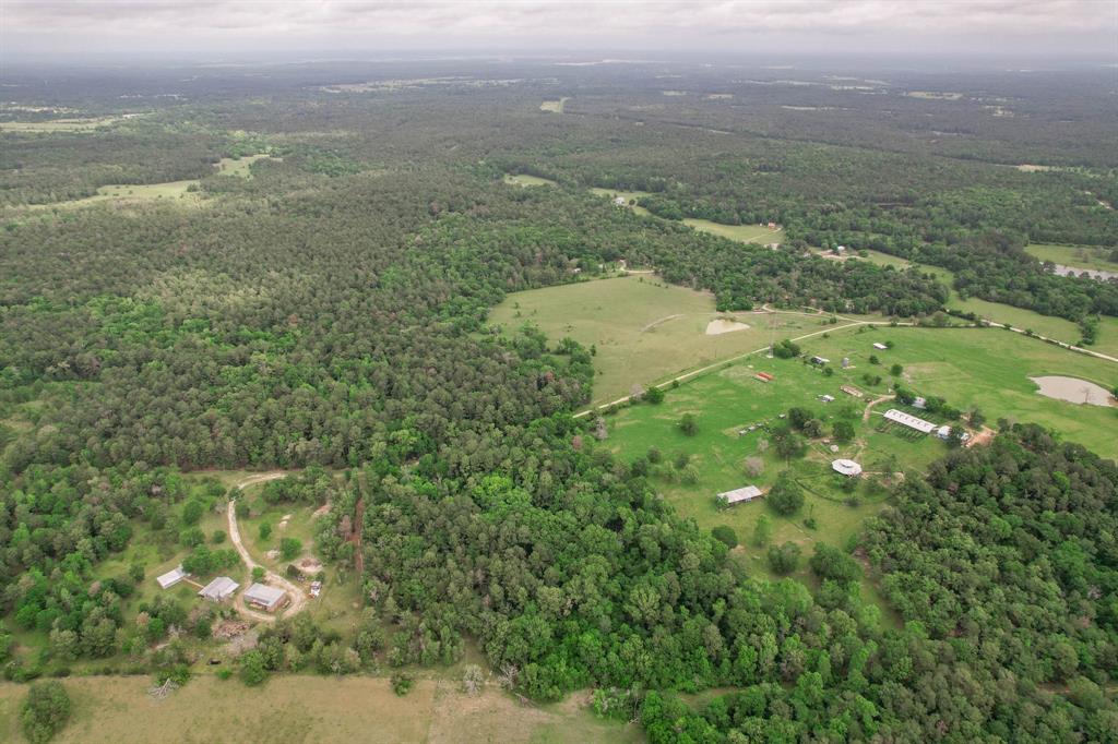 Lot 23.2 Townley Ranch Drive, Huntsville, Texas image 12