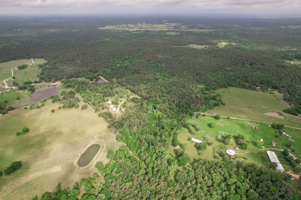 Lot 23.2 Townley Ranch Drive, Huntsville, Texas image 13