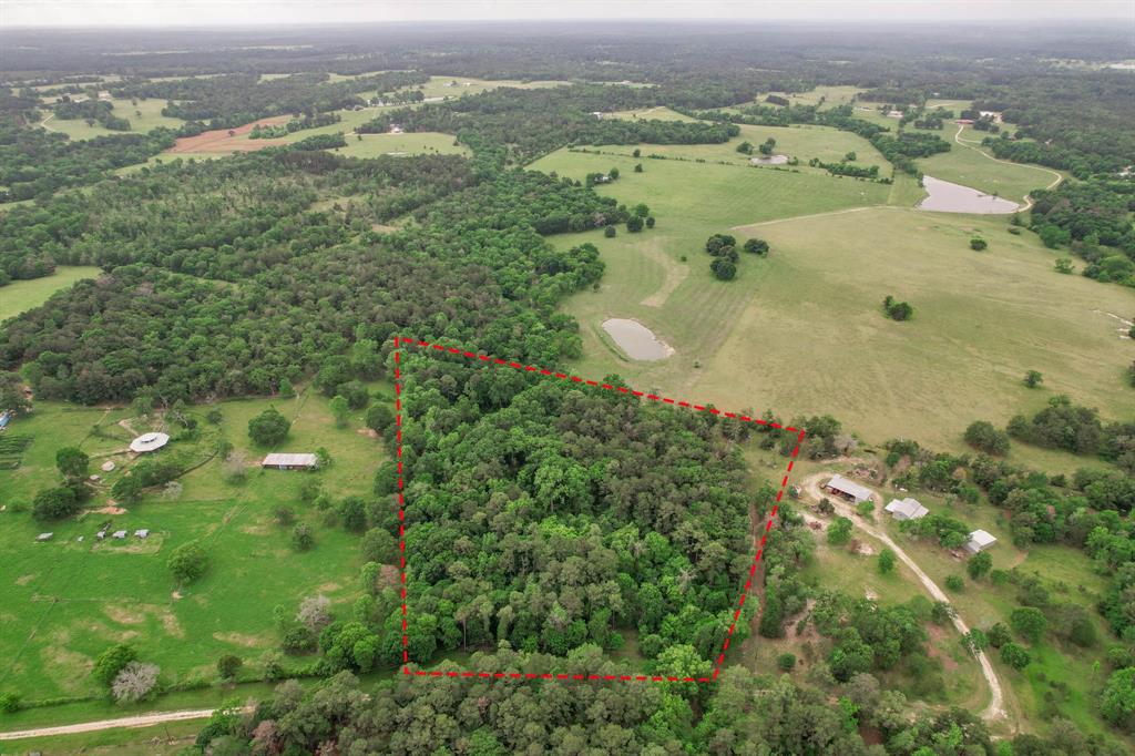 Lot 23.2 Townley Ranch Drive, Huntsville, Texas image 2