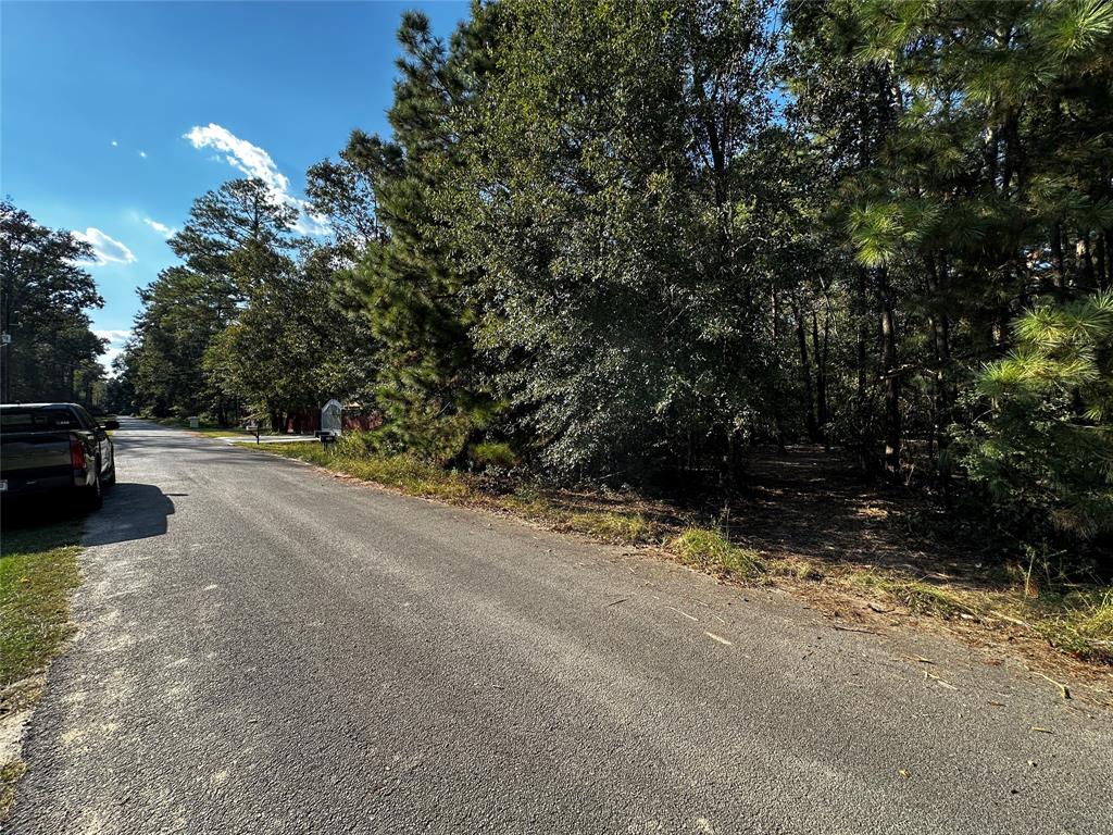 27089 Spanish Oak Drive, New Caney, Texas image 3