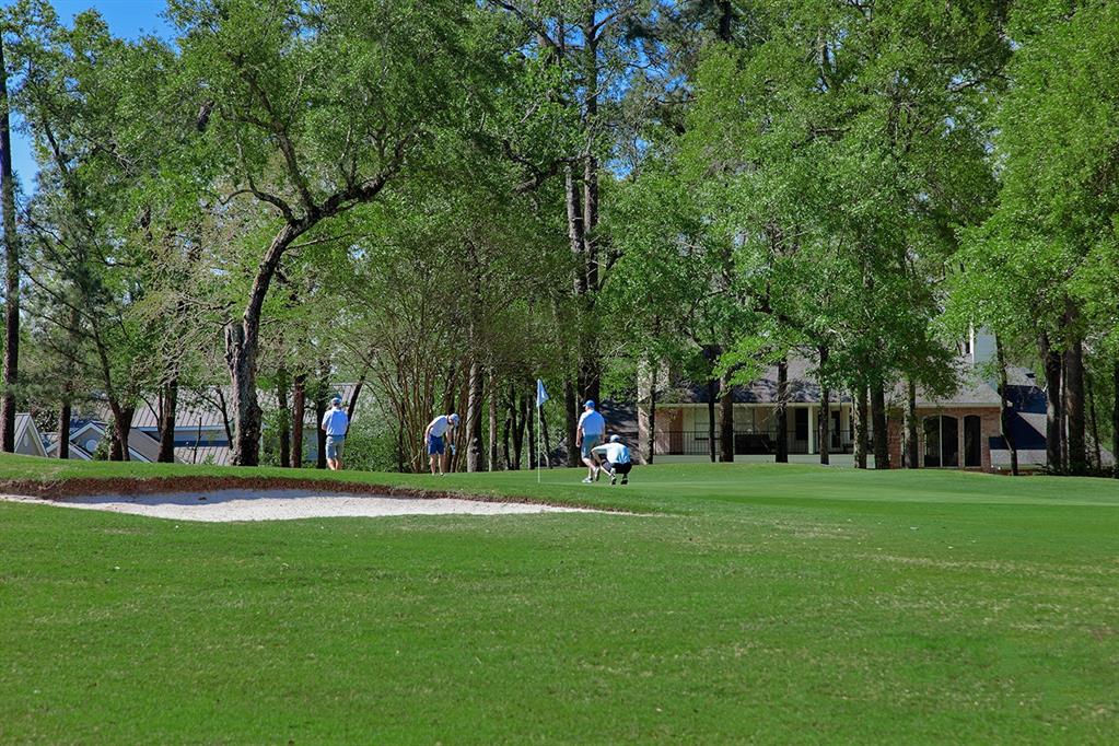 31 Chestnut Hill Court, The Woodlands, Texas image 36