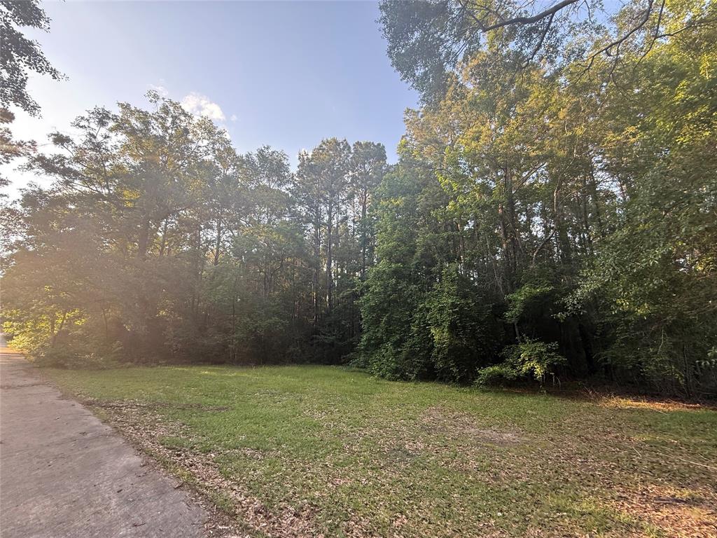 TBD Forse Drive, Woodville, Texas image 1