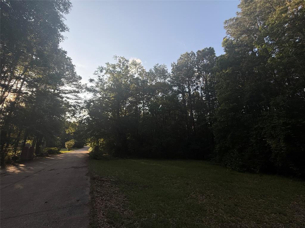 TBD Forse Drive, Woodville, Texas image 2