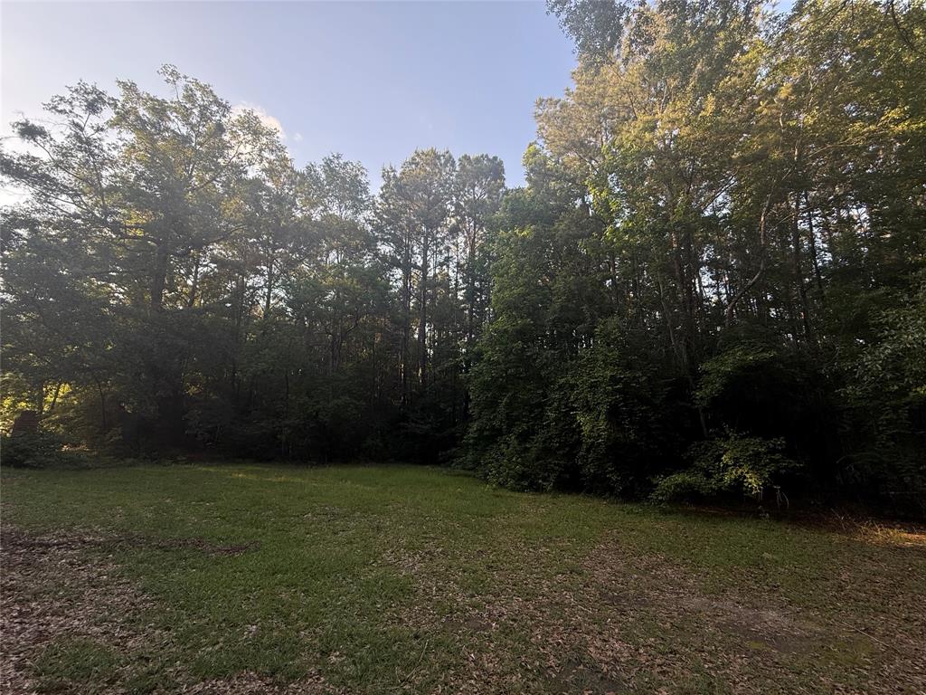 TBD Forse Drive, Woodville, Texas image 3