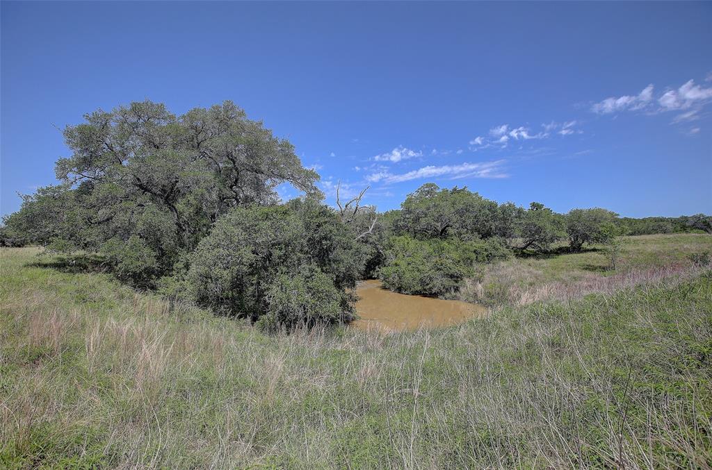4739 Creamer Creek Rd Rd, La Grange, Texas image 12