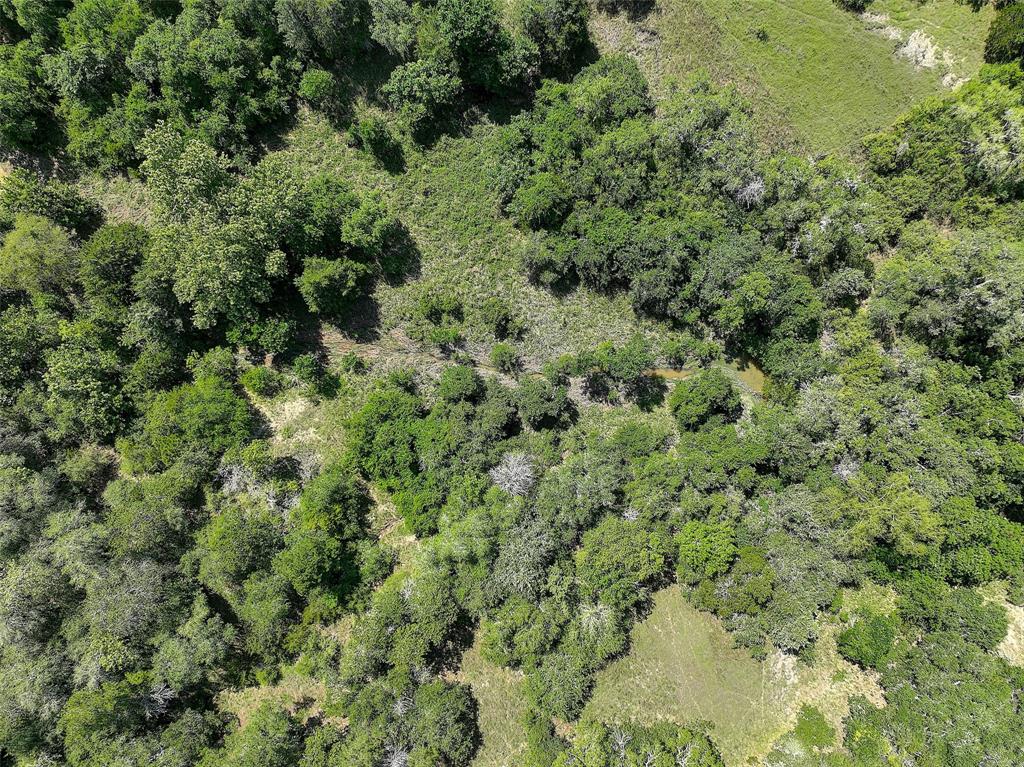 4739 Creamer Creek Rd Rd, La Grange, Texas image 7