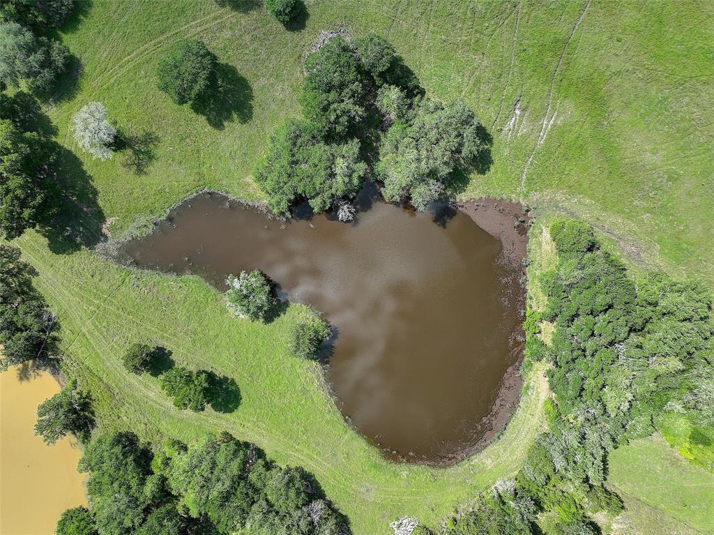 4739 Creamer Creek Rd Rd, La Grange, Texas image 16