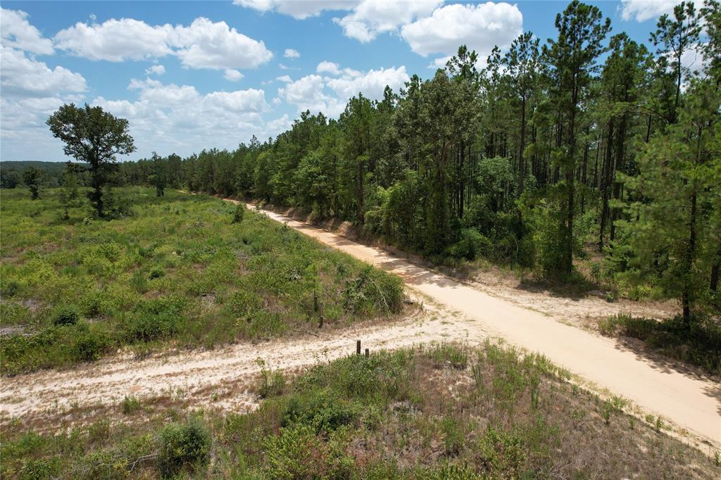 TBD Fm 2423, Grapeland, Texas image 8