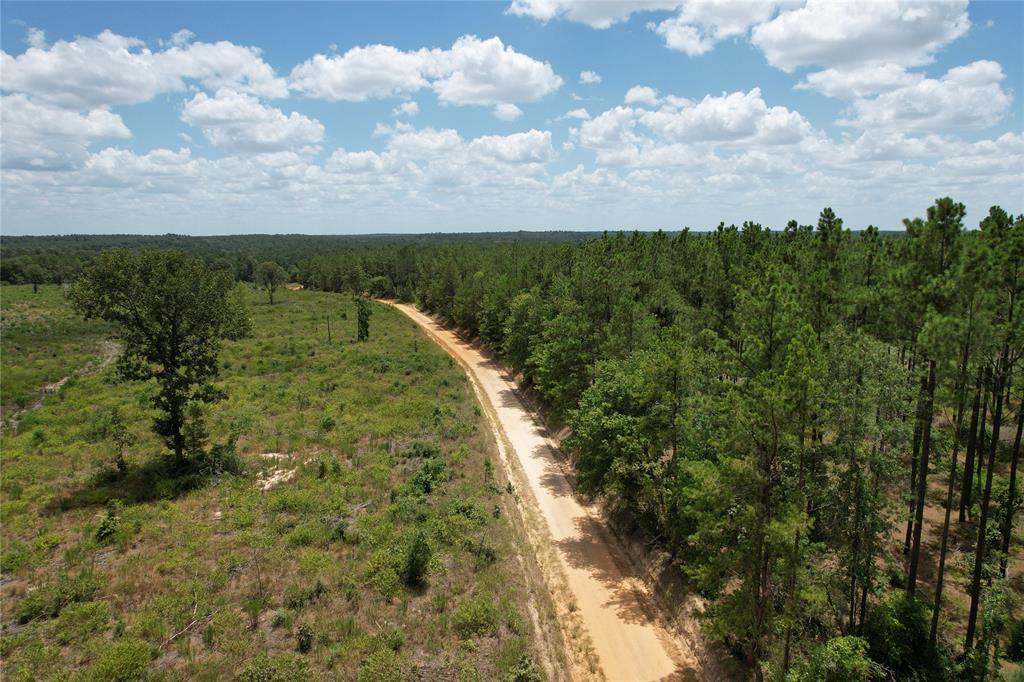 TBD Fm 2423, Grapeland, Texas image 4