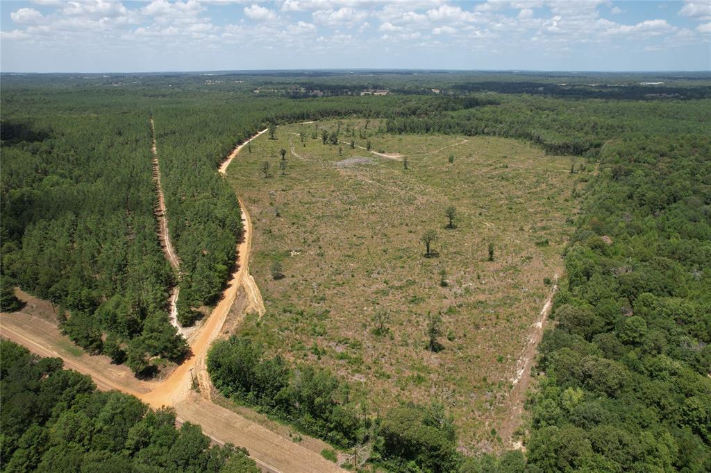 TBD Fm 2423, Grapeland, Texas image 3