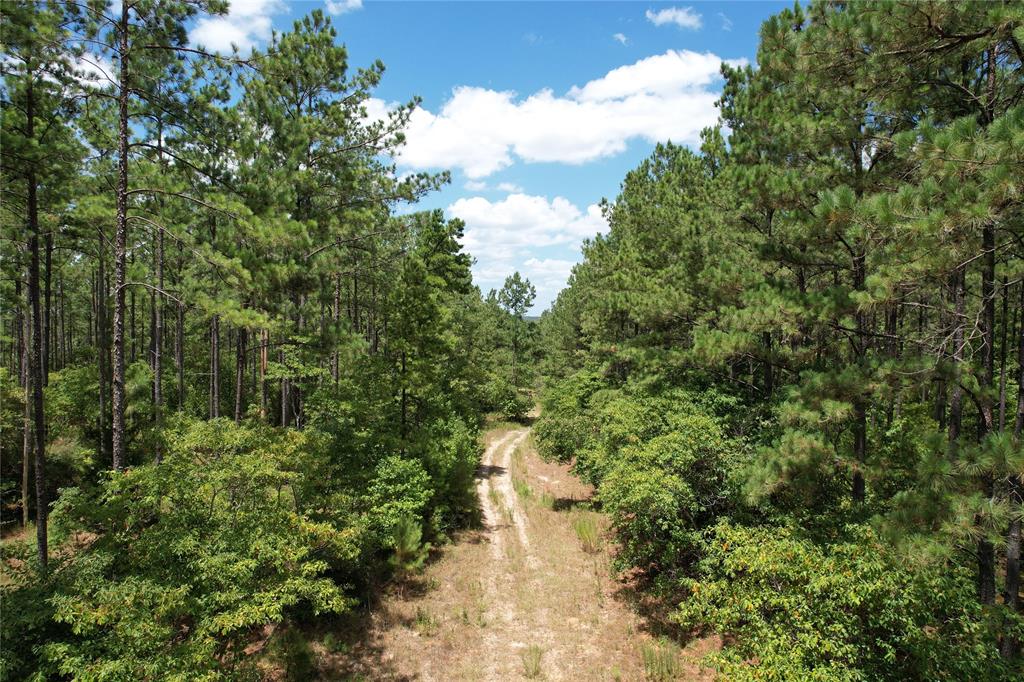 TBD Fm 2423, Grapeland, Texas image 10