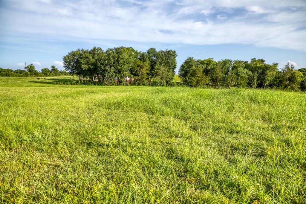 Lot 2 Hargrove Lane, Washington, Texas image 4