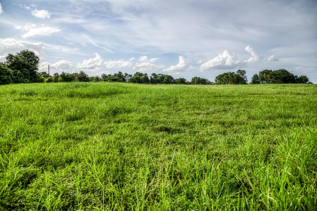 Lot 2 Hargrove Lane, Washington, Texas image 7