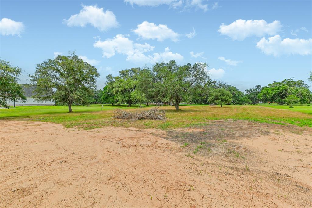 1226 Arabian Court, Angleton, Texas image 43