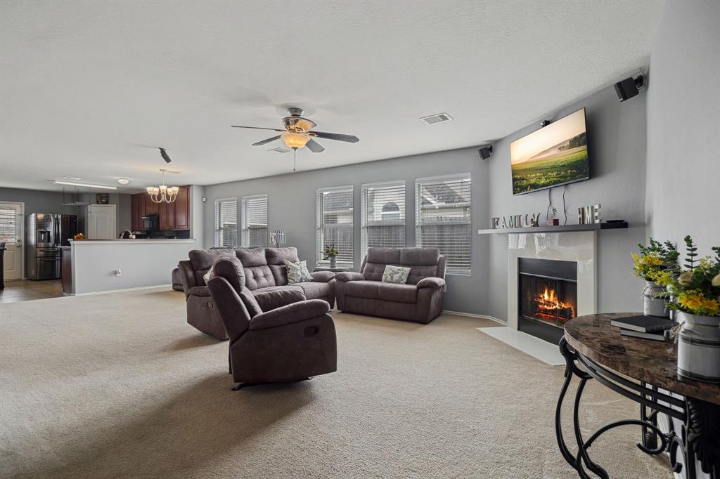 12006 Green Willow Falls Drive, Tomball, Texas image 2