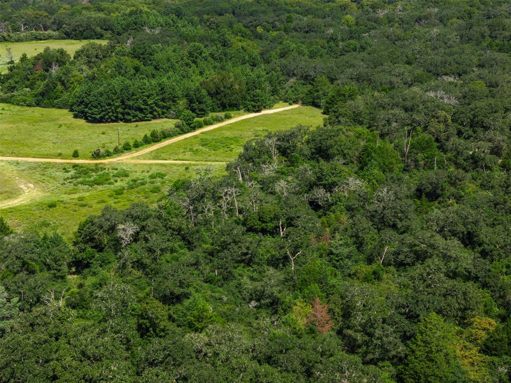 13082 Pr 4485 Street, Normangee, Texas image 30