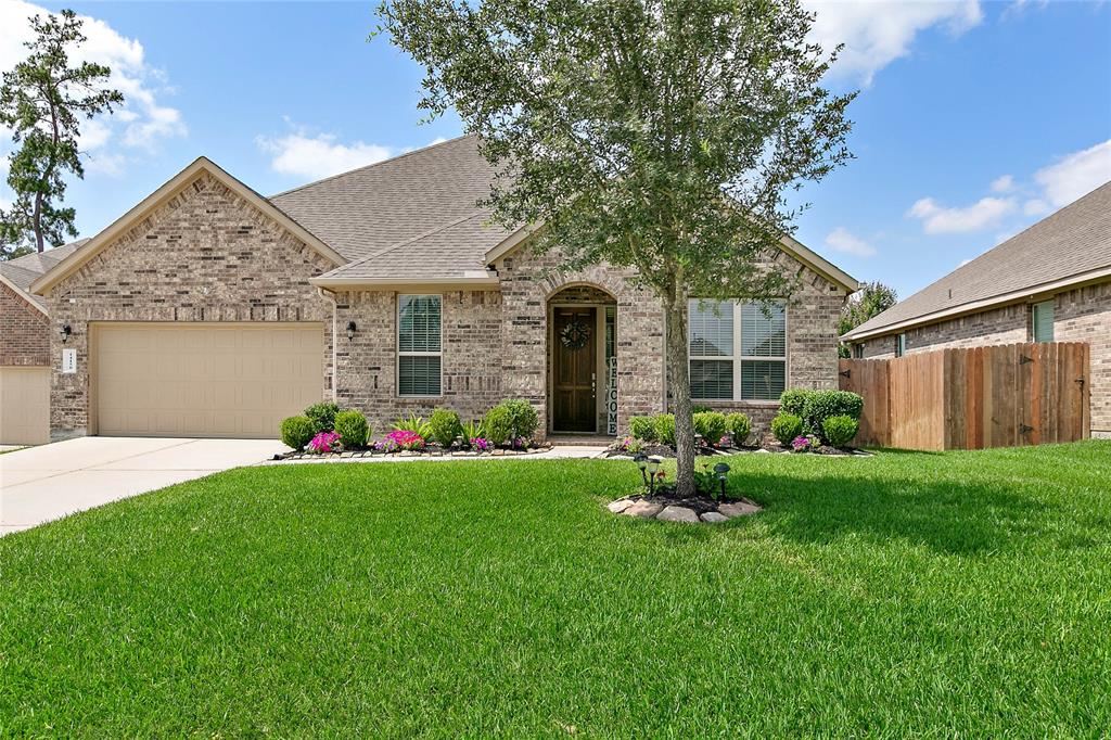 14150 Emory Peak Court, Conroe, Texas image 1