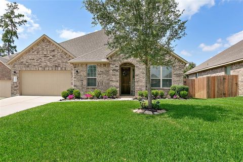 14150 Emory Peak Court Conroe TX 77384