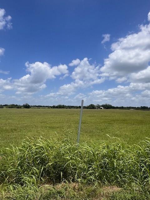 Lot 1 Svoboda Road, Wallis, Texas image 4