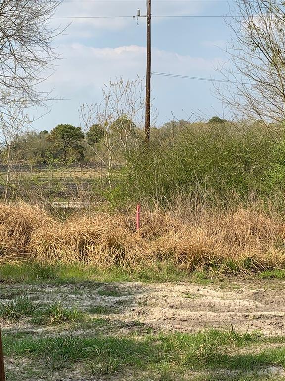 00 Haynes Rd, Anahuac, Texas image 10