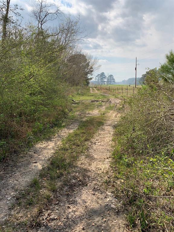 00 Haynes Rd, Anahuac, Texas image 4