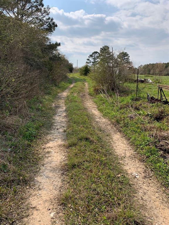 00 Haynes Rd, Anahuac, Texas image 13