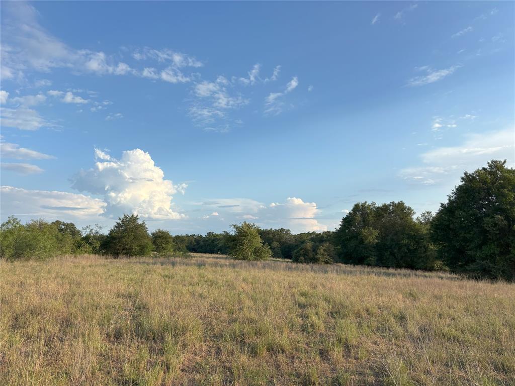 TBD Cr 302, Rockdale, Texas image 4