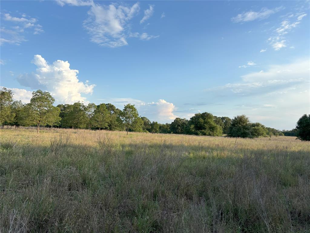 TBD Cr 302, Rockdale, Texas image 2