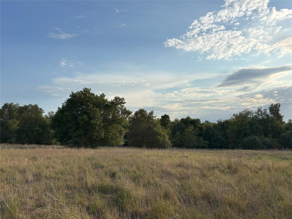 TBD Cr 302, Rockdale, Texas image 3