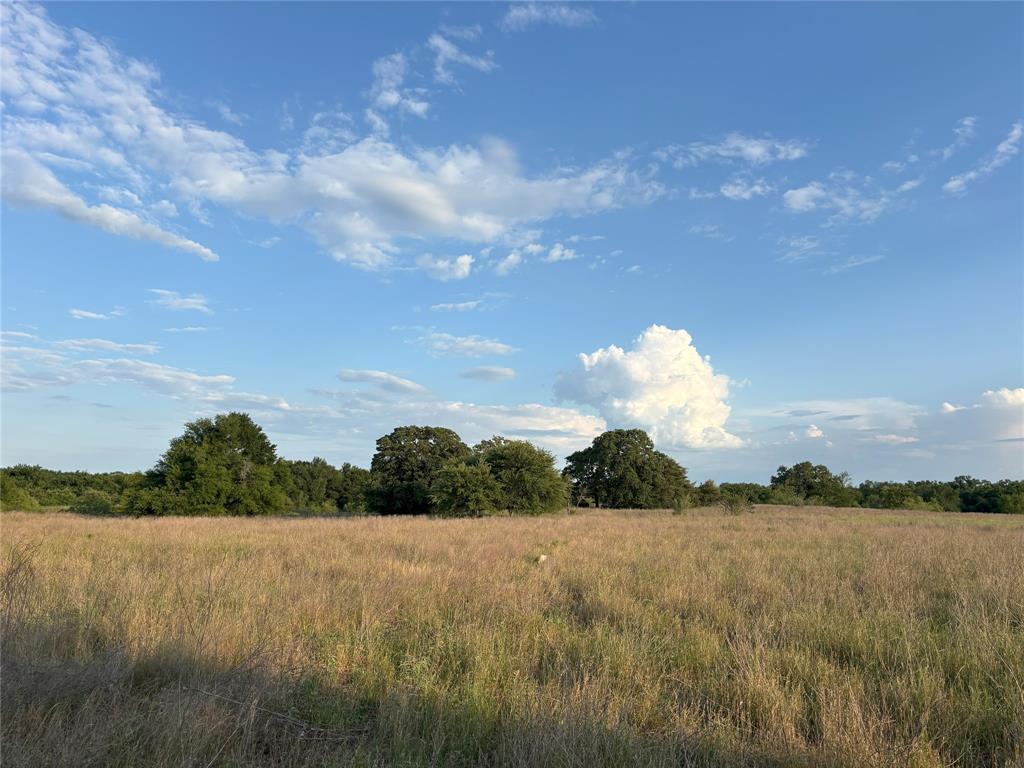 TBD Cr 302, Rockdale, Texas image 7