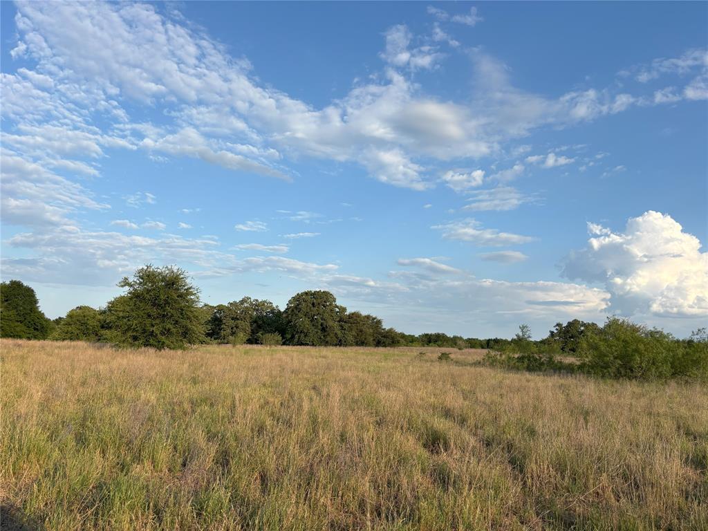 TBD Cr 302, Rockdale, Texas image 5
