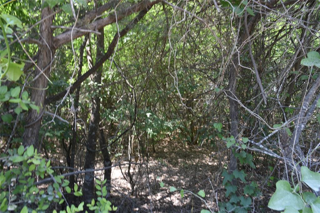 TBD Sandstone Road, Burton, Texas image 8