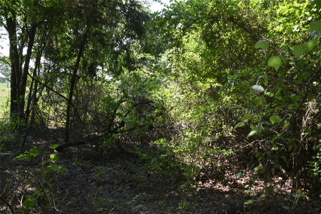 TBD Sandstone Road, Burton, Texas image 6