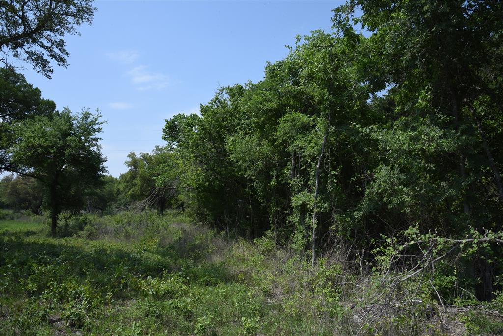 TBD Sandstone Road, Burton, Texas image 3