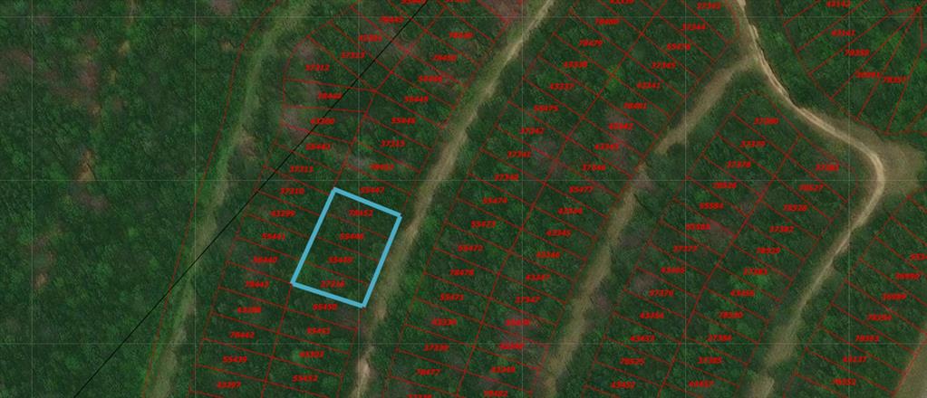 Lots 538, 539, 540 & 541 Wood Forest